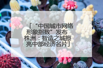 “中国城市网络形象指数”发布 株洲：智造之城擦亮中部经济名片